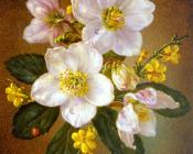 Winter - 塞西尔·肯尼迪